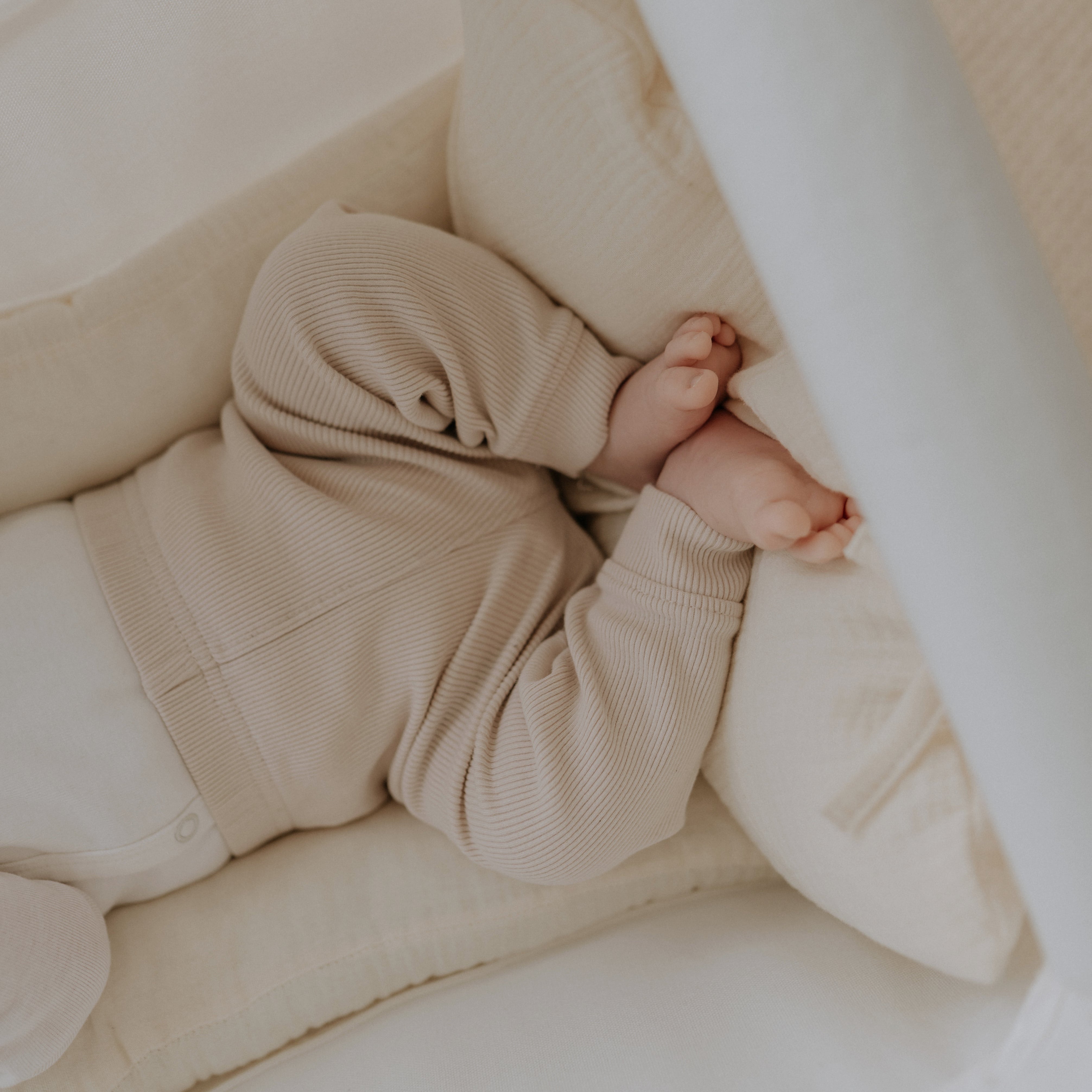 Adamo Prémium Babahinta Natúr